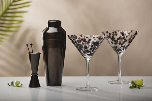 Selena 6pc Cocktail Set