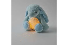 Bunny Plush Night Light