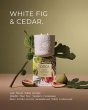 White Fig & Cedar Candle