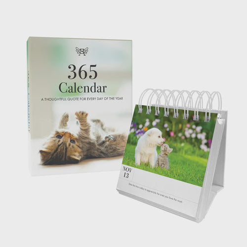 Kitten 365 Calendar