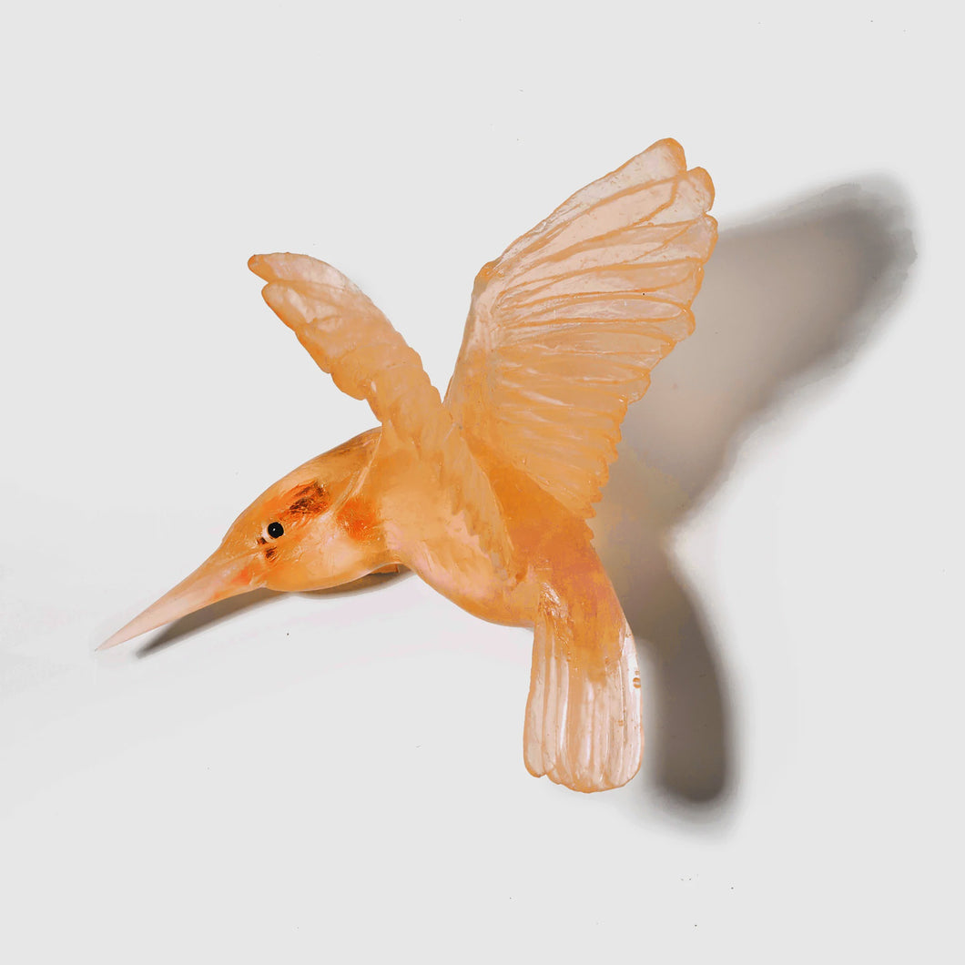Kingfisher - Apricot
