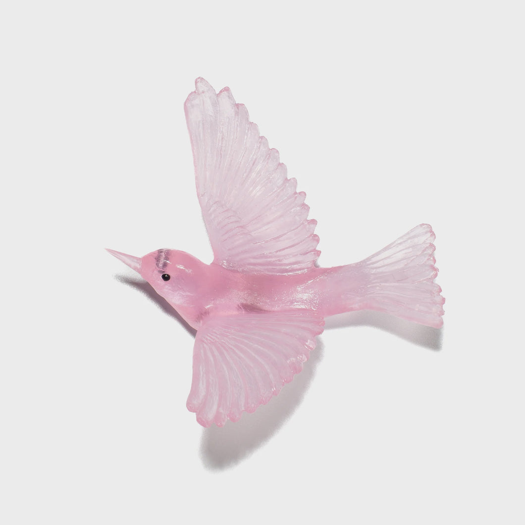 Pink Silvereye