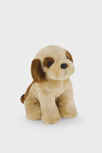 Snuggle Bunnies - Coco The Shih Tzu Sitting Height: 22cmLength: 21cm These adorable and super soft toys are perfect for your little ones to snuggle up with and love. Coco is a high-energy Shih Tzu dog who loves chasing butterflies, playing outdoors and generally creating chaos.