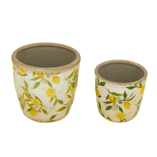 Lemon Planter
