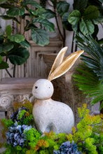 Rabbit w metal ears