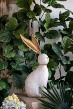 Rabbit w metal ears