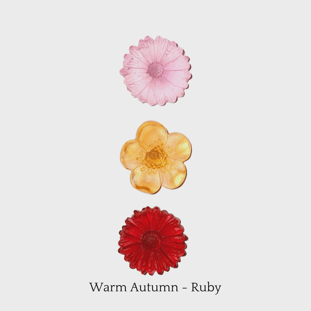 Warm Autumn Ruby Flowers