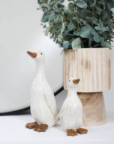 Sitting Duck