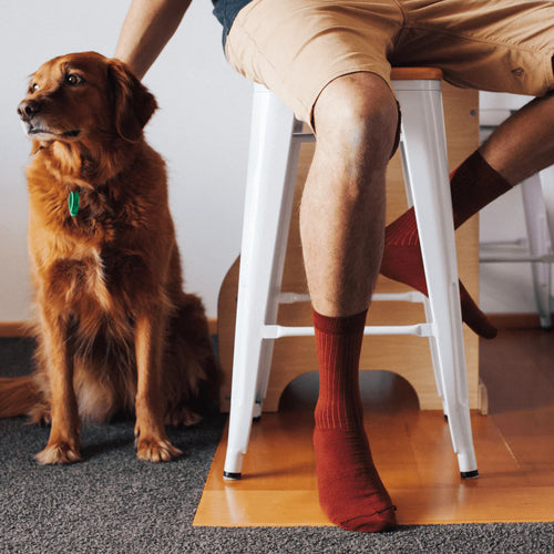 Spice Socks