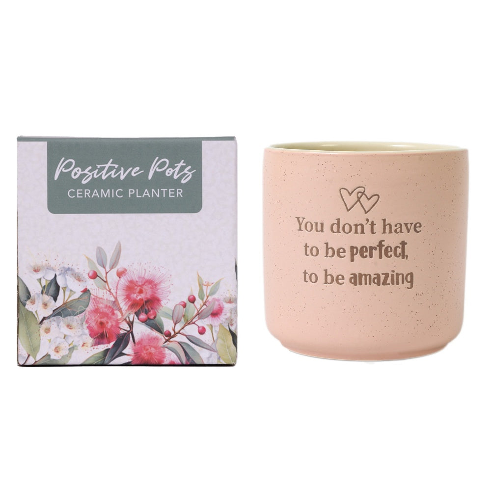 Amazing Positive Pot They are back and better than ever! Inspired by the growing demand for plant-related products, re-imagined cult faves.