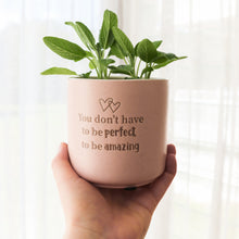 Amazing Positive Pot They are back and better than ever! Inspired by the growing demand for plant-related products, re-imagined cult faves.