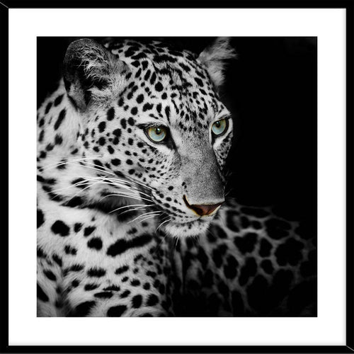 Leopard Art