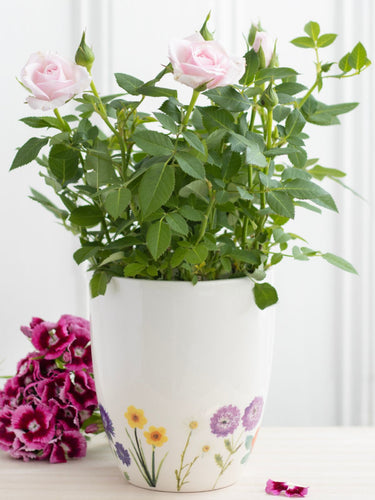 Wildflowers Planter Pot