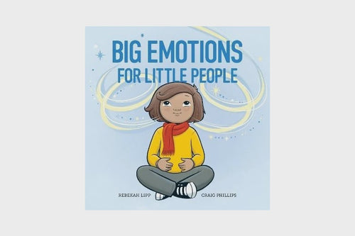 Big Emotions Book