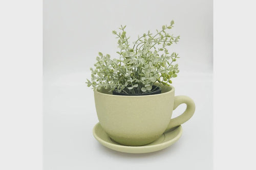Sage Tea Cup Planter
