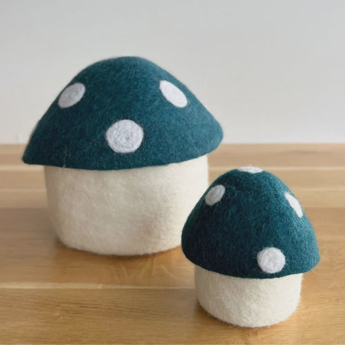 Toadstool Teal