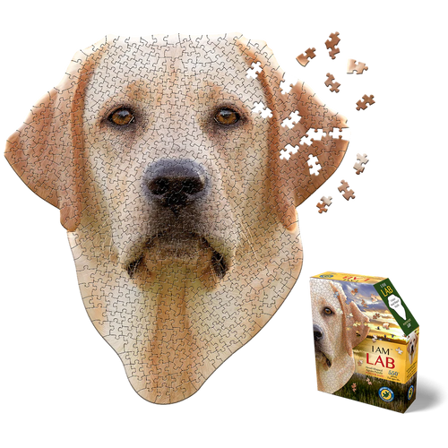I am Lab Puzzle