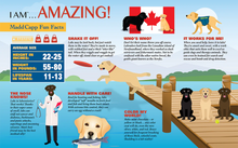 I am Lab Puzzle