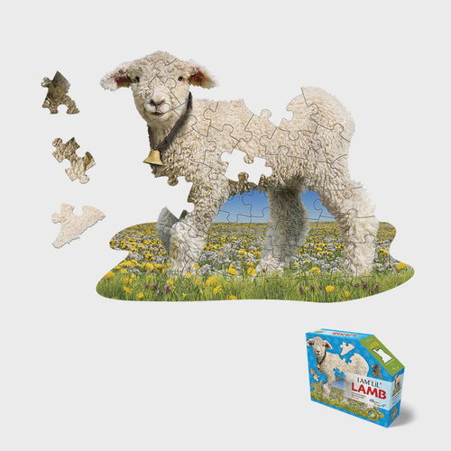 I am Lil Lamb