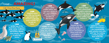 I am Lil Orca