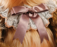 Charlie Year Bear 2026