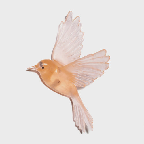 Fernbird - Peach