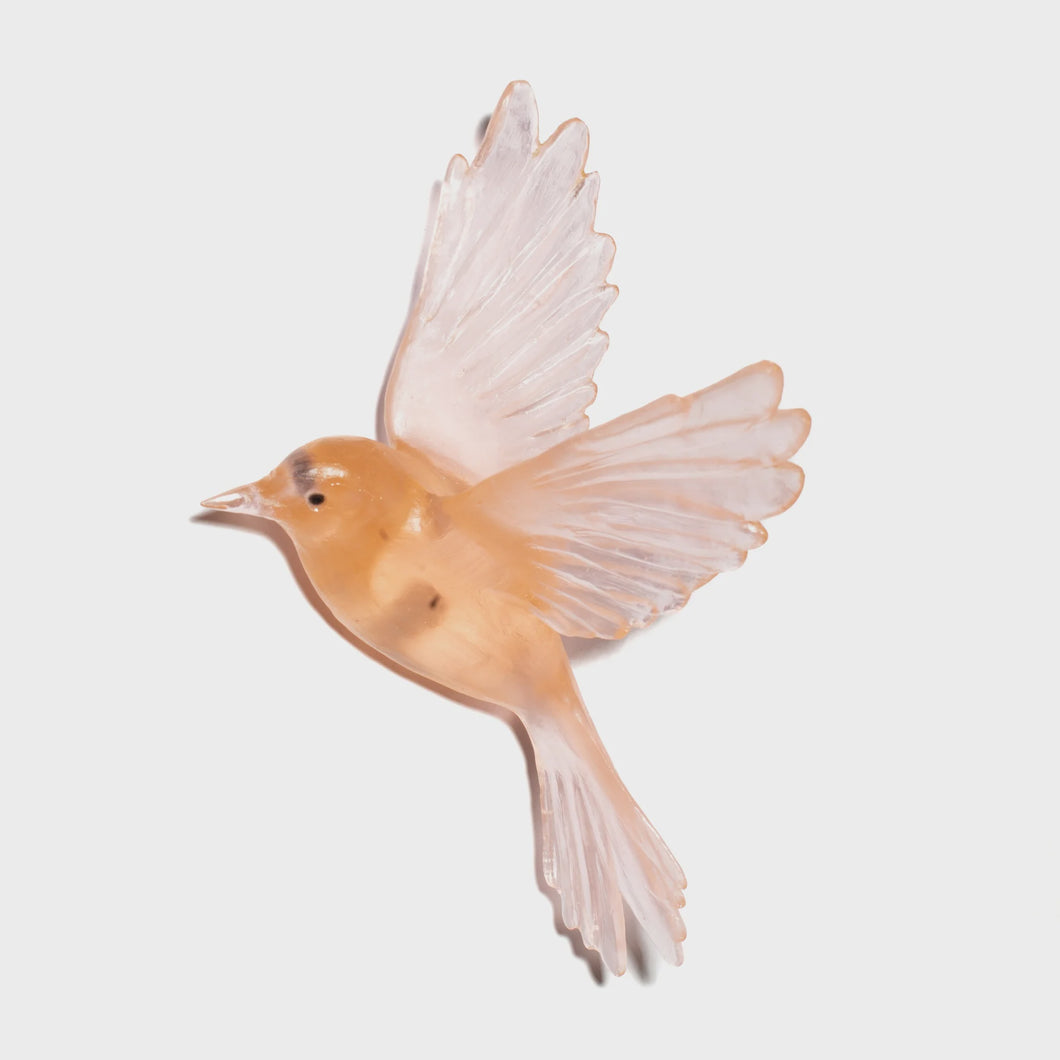 Fernbird - Peach