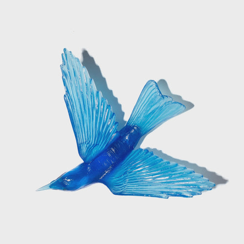Aquamarine Bellbird