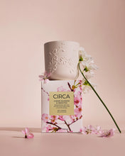 Circa Cherry Blossom & Black Pepper candle with packaging on a pink background