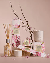 Circa cherry blossom and green tea candle and diffusers with packaging on a pink background