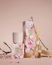 Circa cherry blossom and green tea candle and diffuser with packaging on a pink background