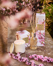 Circa cherry blossom and green tea candle and diffusers with packaging on a garden setting
