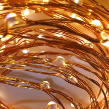 2m Copper Warm White Seed Lights