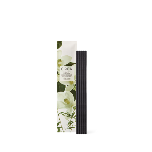 Scent Stems - Vanilla Bean & Allspice