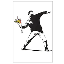 Framed Art Print Canvas Banksy Flower Thrower 30x45cm, Rosies Gifts, Mosgiel, Dunedin for wall art canvas and glass options.