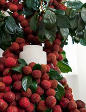 Soy Wax Melt - Guava & Lychee