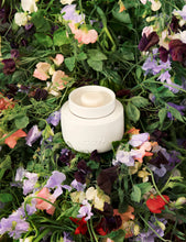 Soy Wax Melt - Sweet Pea & Jasmine
