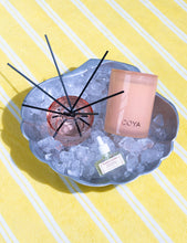 Pomelo Sorbet Diffuser