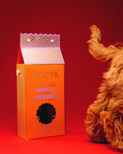 Ecoya Dog Groom Set