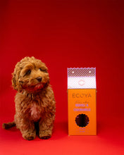 Ecoya Dog Groom Set