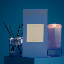 Keepsake Reed Diffuser #2