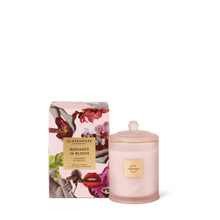 Radiance in Bloom 380g Candle