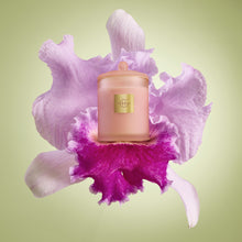 Radiance in Bloom 380g Candle
