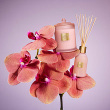 Radiance in Bloom 380g Candle
