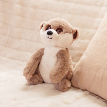 Toasty Hugs - Milo Meerkat by Splosh, all-new cosy companions filled with calming tourmaline crystals. Removable heat pack to warm or cool. Rosies Gifts, Mosgiel, Dunedin for baby and child gifts.