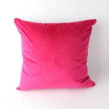 Art Cushion Velvet No5 Paris
