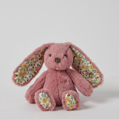 Raspberry Bunny Rattle