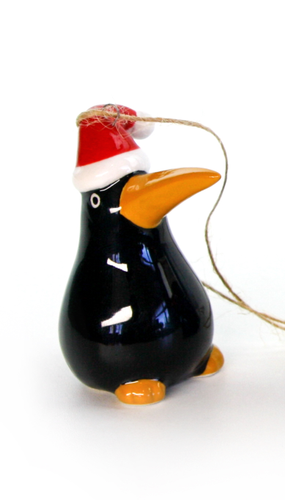 Ceramic Kiwi