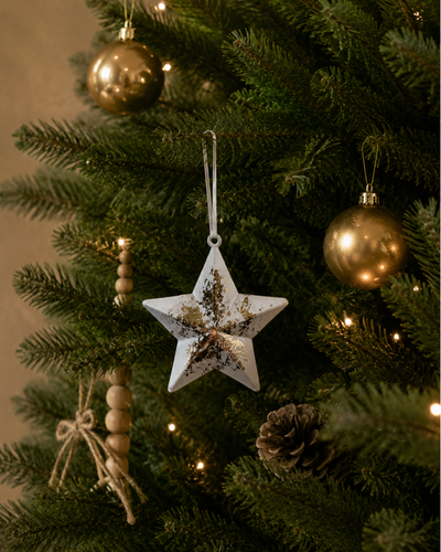 White / Gold Foil Star