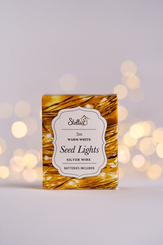 2m Silver Warm White Seed Lights